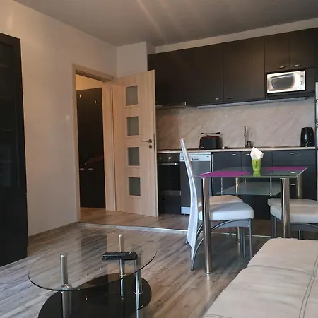 Apartament Odrin Apartment